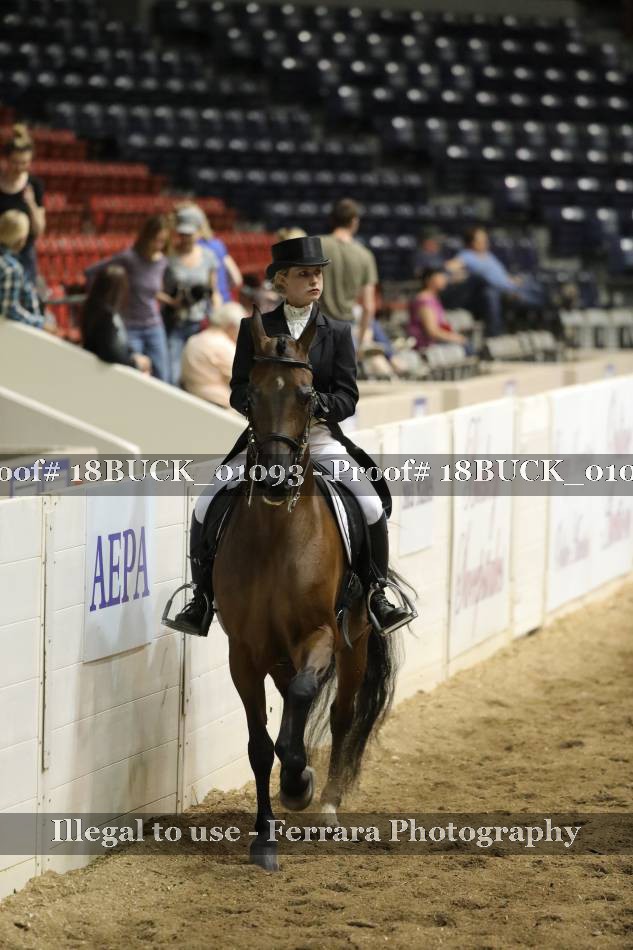 Proof 18BUCK_01093