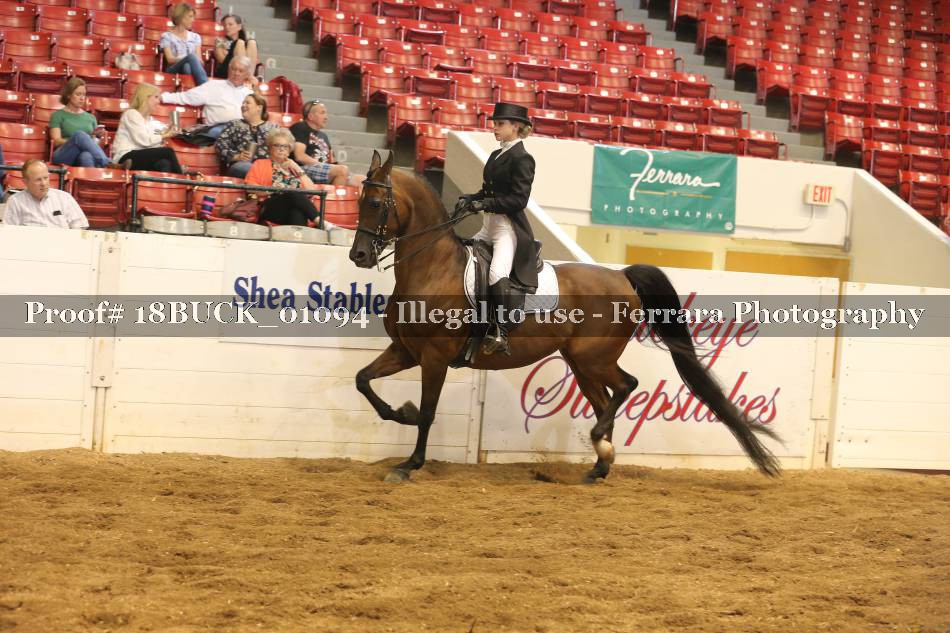 Proof 18BUCK_01094