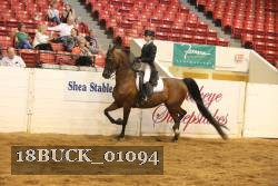 18BUCK_01094 proof