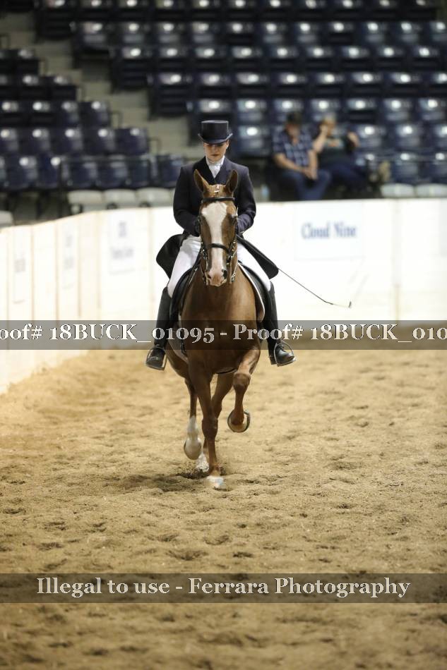 Proof 18BUCK_01095