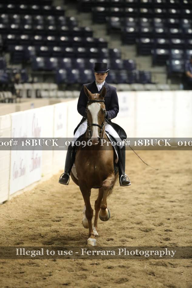 Proof 18BUCK_01096