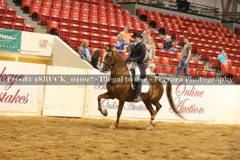 Proof 18BUCK_01097