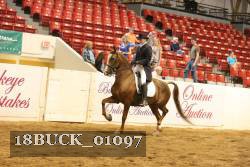 18BUCK_01097 proof