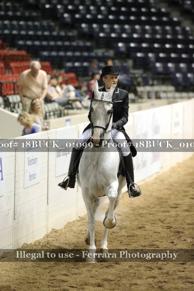 Proof 18BUCK_01099