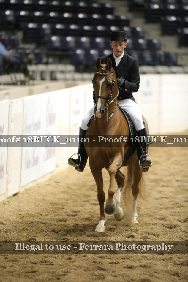 Proof 18BUCK_01101