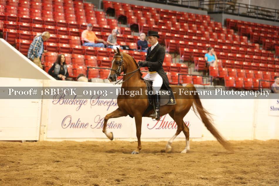 Proof 18BUCK_01103