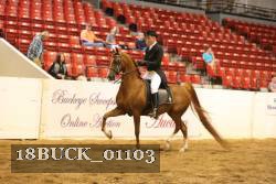 18BUCK_01103 proof