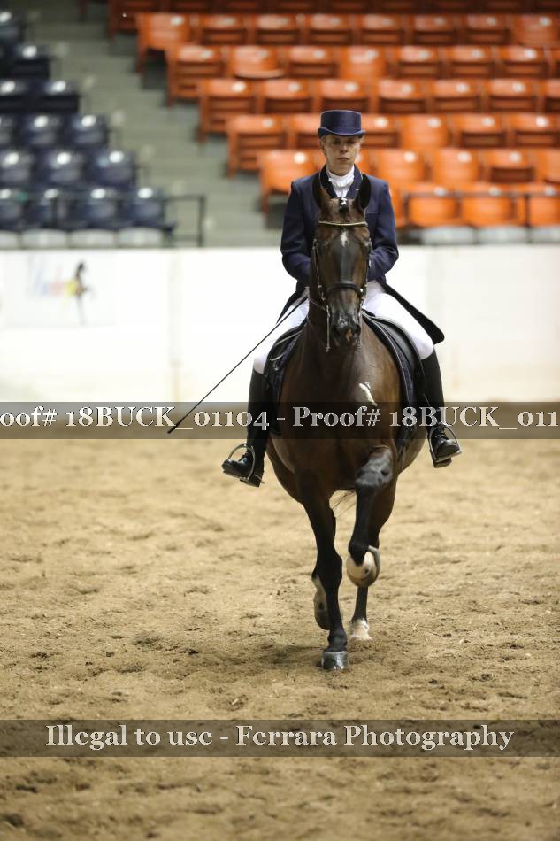 Proof 18BUCK_01104