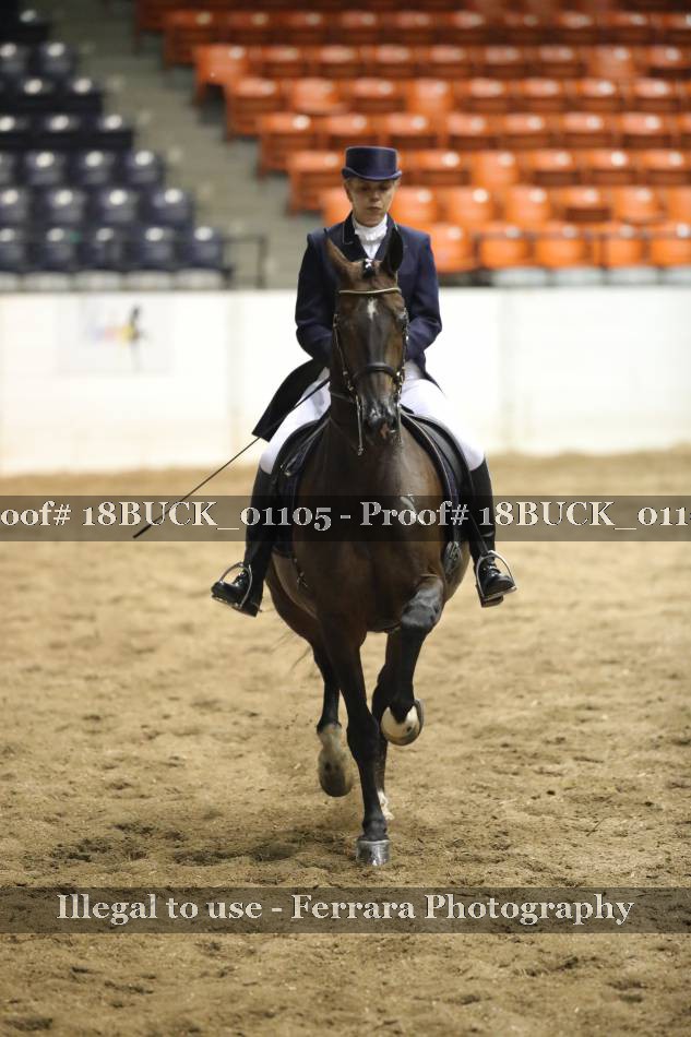 Proof 18BUCK_01105