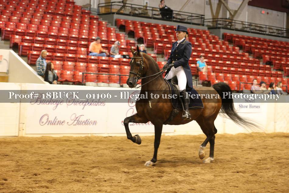 Proof 18BUCK_01106