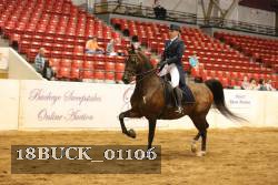 18BUCK_01106 proof