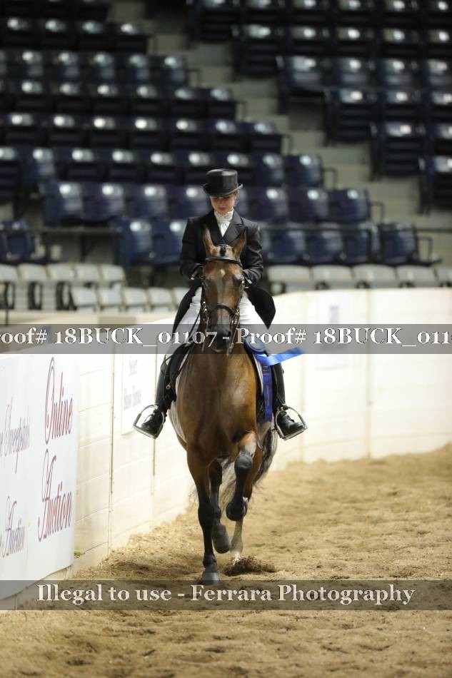 Proof 18BUCK_01107