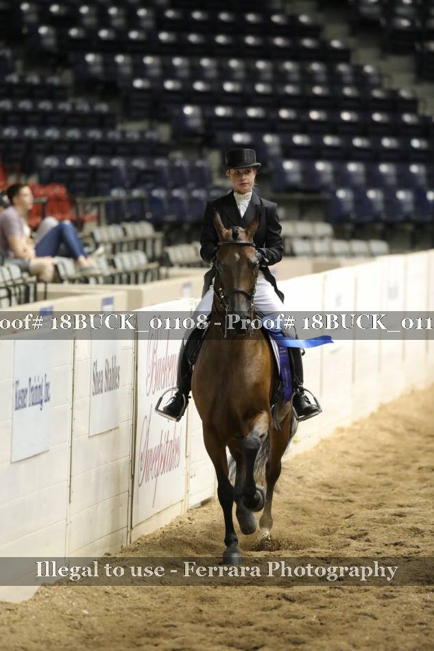 Proof 18BUCK_01108