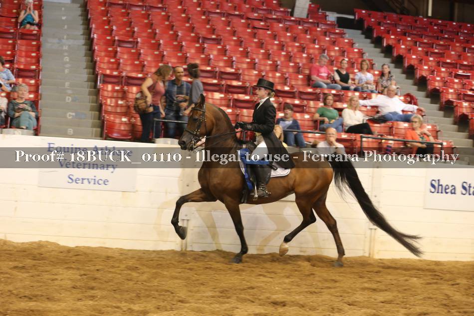 Proof 18BUCK_01110