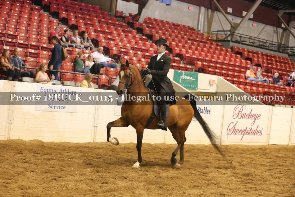 Proof 18BUCK_01115