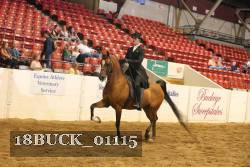 18BUCK_01115 proof