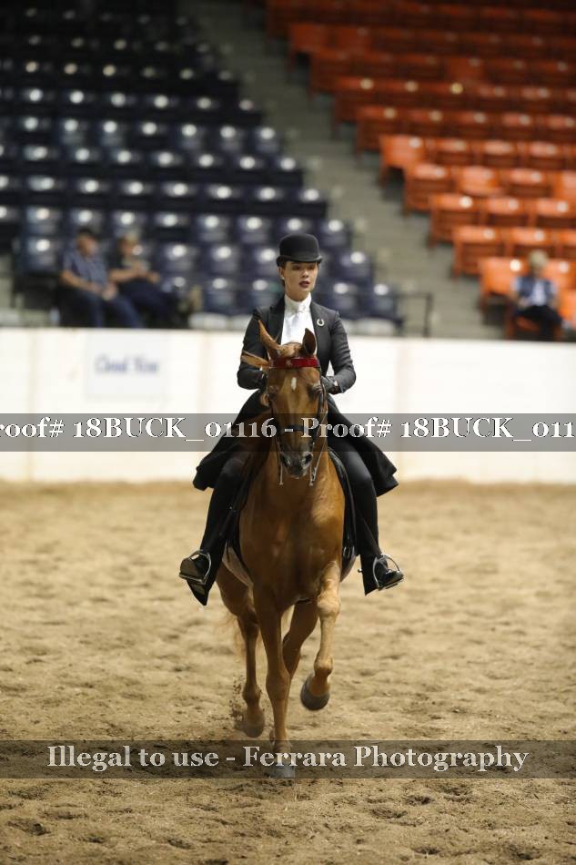 Proof 18BUCK_01116