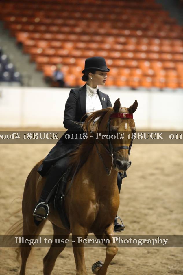 Proof 18BUCK_01118