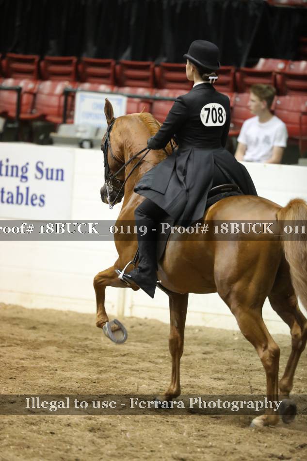 Proof 18BUCK_01119