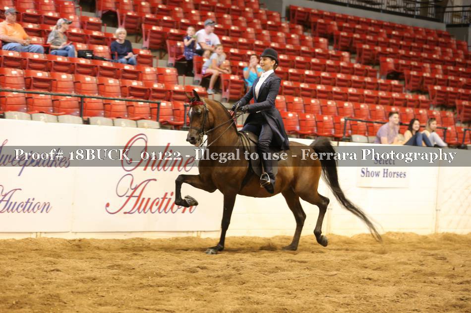 Proof 18BUCK_01122