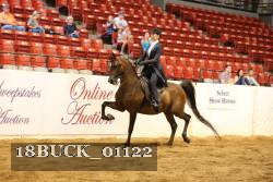 18BUCK_01122 proof