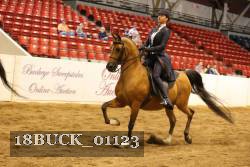 18BUCK_01123 proof