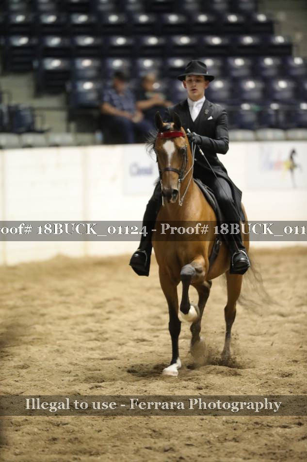 Proof 18BUCK_01124
