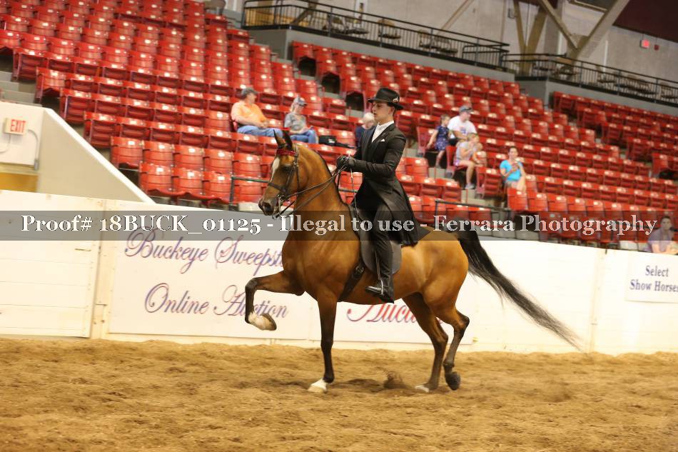 Proof 18BUCK_01125