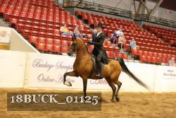 18BUCK_01125 proof