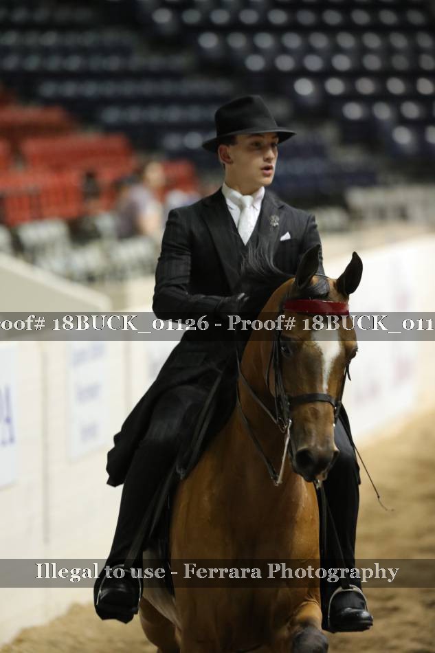 Proof 18BUCK_01126