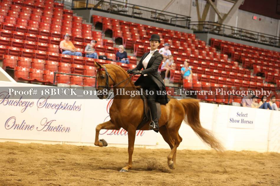 Proof 18BUCK_01128