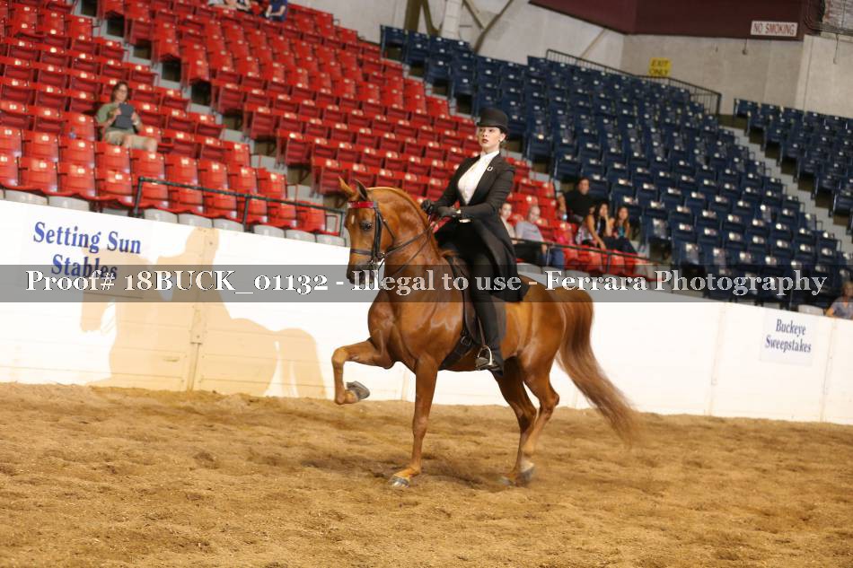 Proof 18BUCK_01132