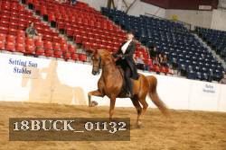 18BUCK_01132 proof