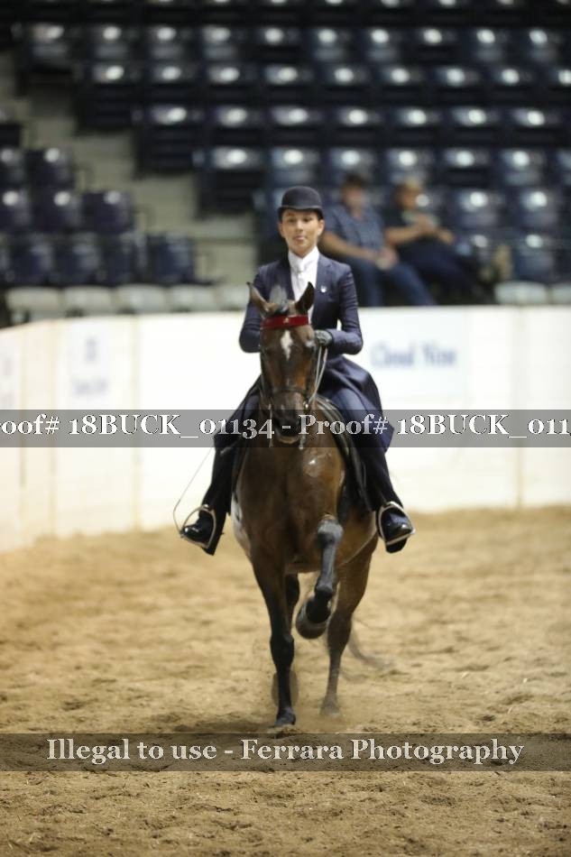 Proof 18BUCK_01134