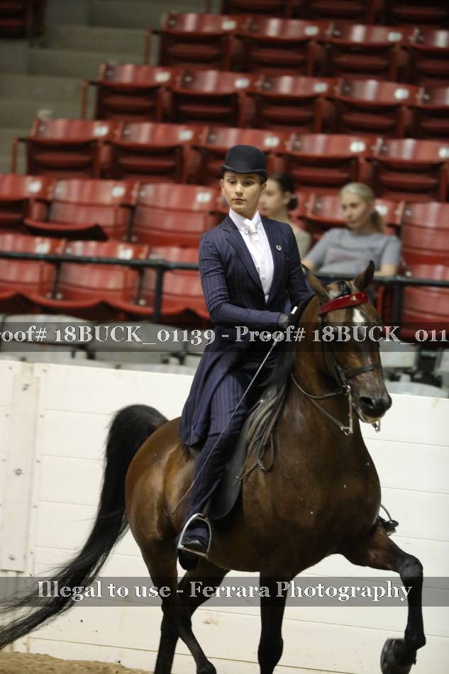 Proof 18BUCK_01139