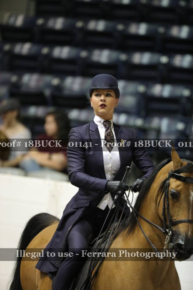Proof 18BUCK_01141