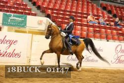 18BUCK_01147 proof