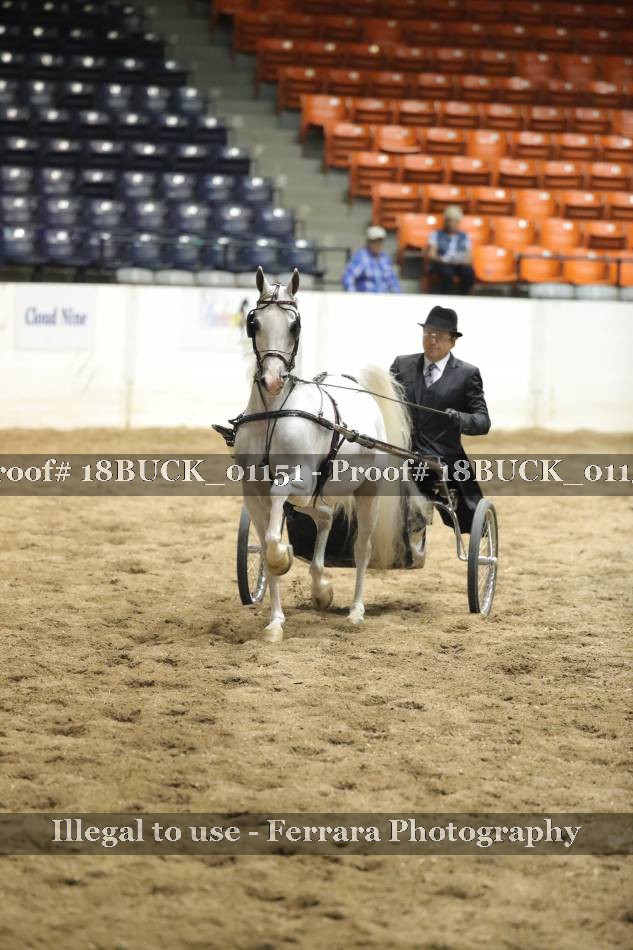 Proof 18BUCK_01151