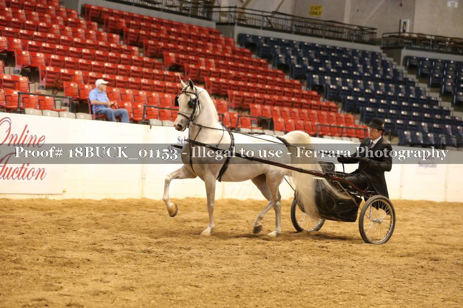 Proof 18BUCK_01153