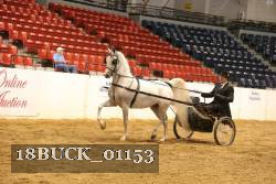 18BUCK_01153 proof
