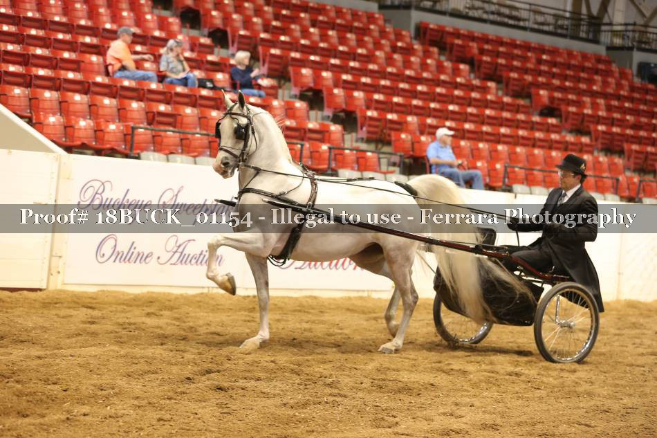 Proof 18BUCK_01154