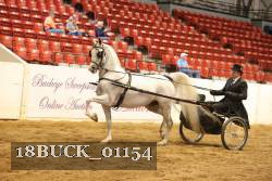 18BUCK_01154 proof