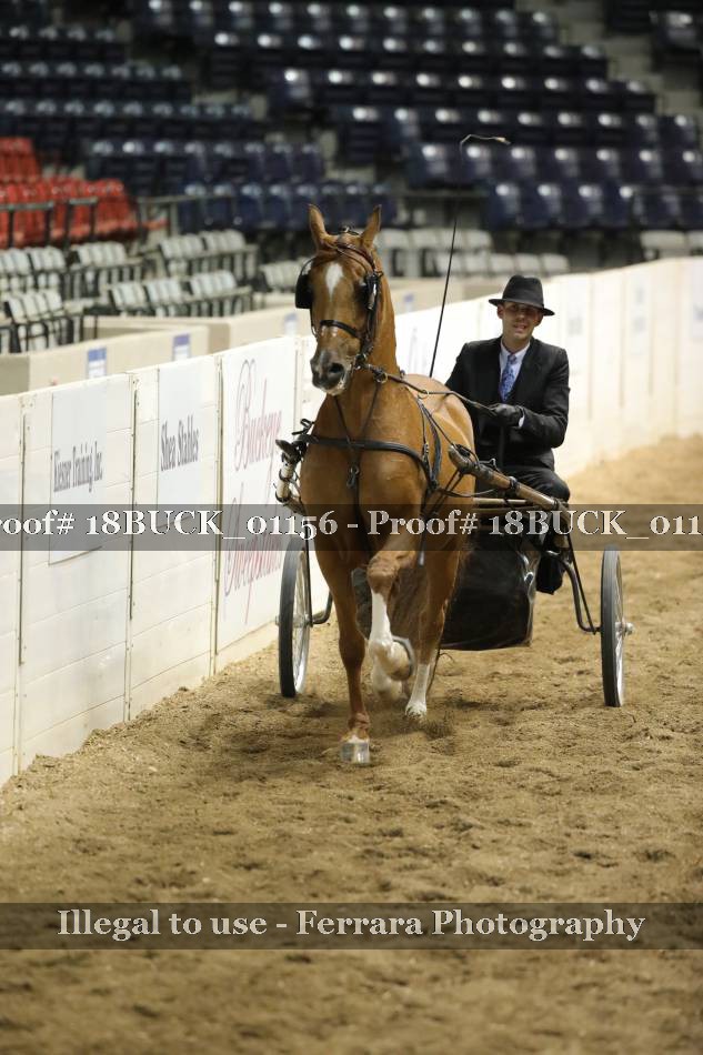 Proof 18BUCK_01156
