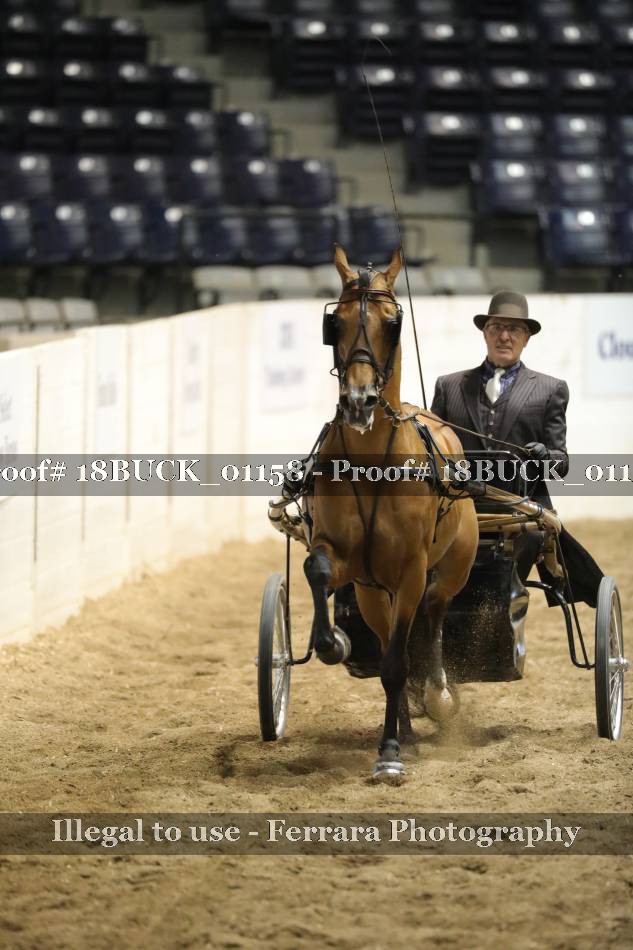 Proof 18BUCK_01158