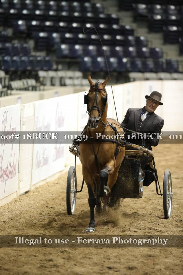 Proof 18BUCK_01159
