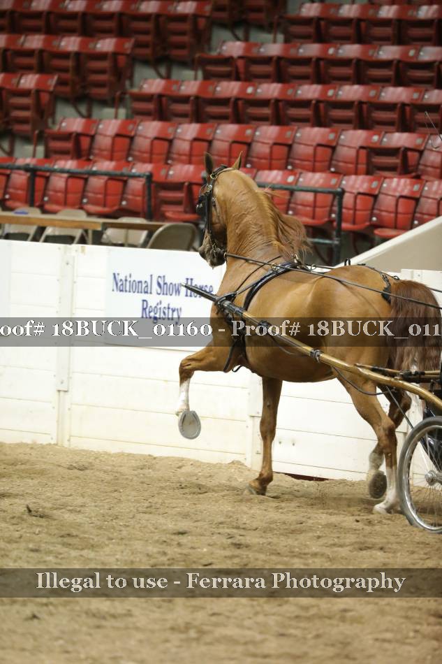 Proof 18BUCK_01160