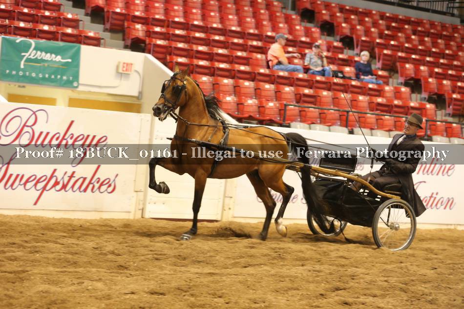 Proof 18BUCK_01161