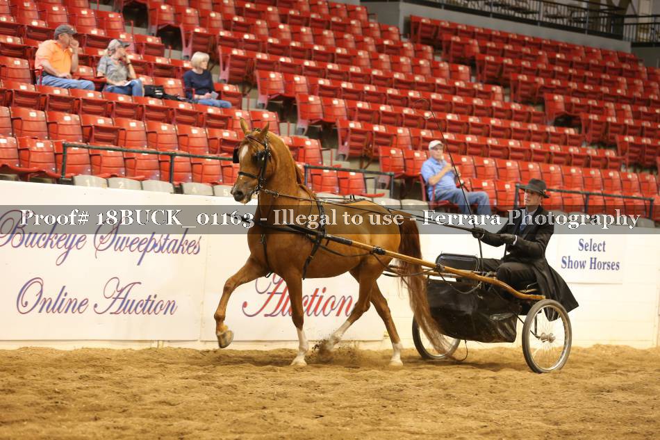 Proof 18BUCK_01163
