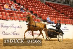 18BUCK_01163 proof
