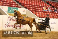 18BUCK_01164 proof